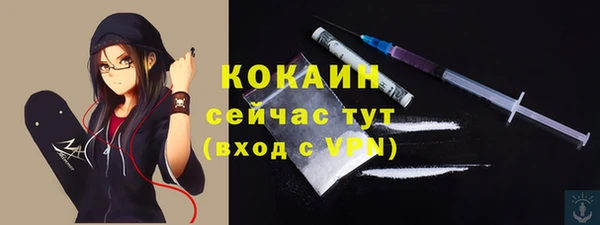 дживик Алзамай
