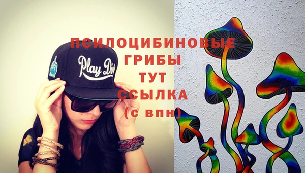 ГАЛЛЮЦИНОГЕННЫЕ ГРИБЫ Алексин