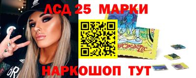 гашик Гатчина