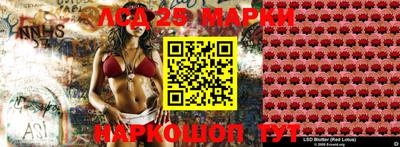гашик Гатчина