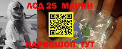 гашик Гатчина