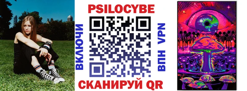 Галлюциногенные грибы Psilocybe  закладки  Нижний Новгород 