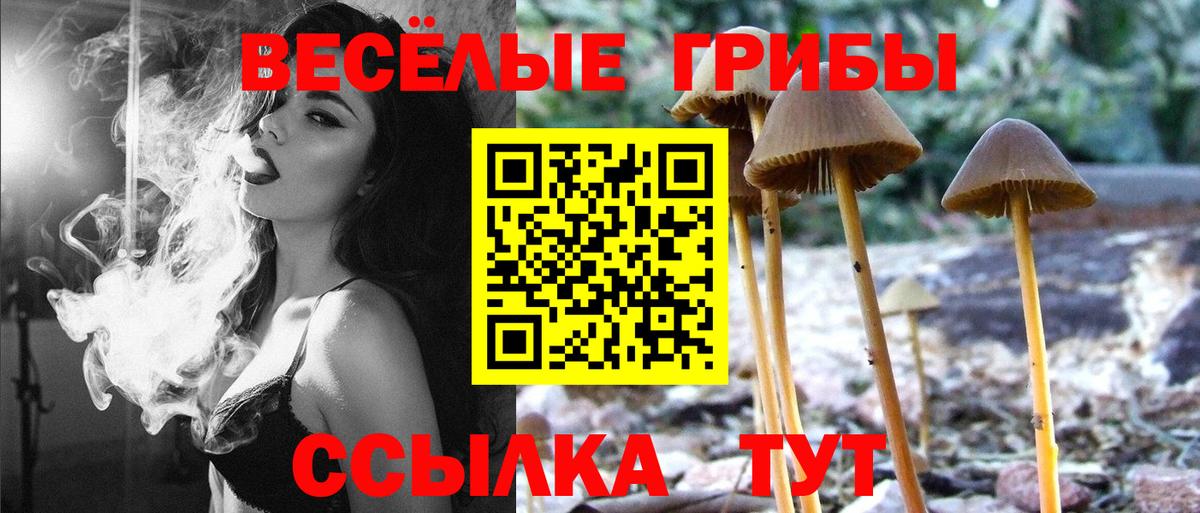 Нижний Новгород  Галлюциногенные грибы ЛСД  Вход с VPN 